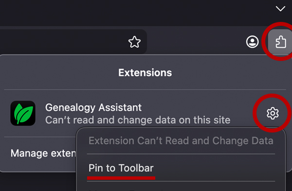 Pin extension