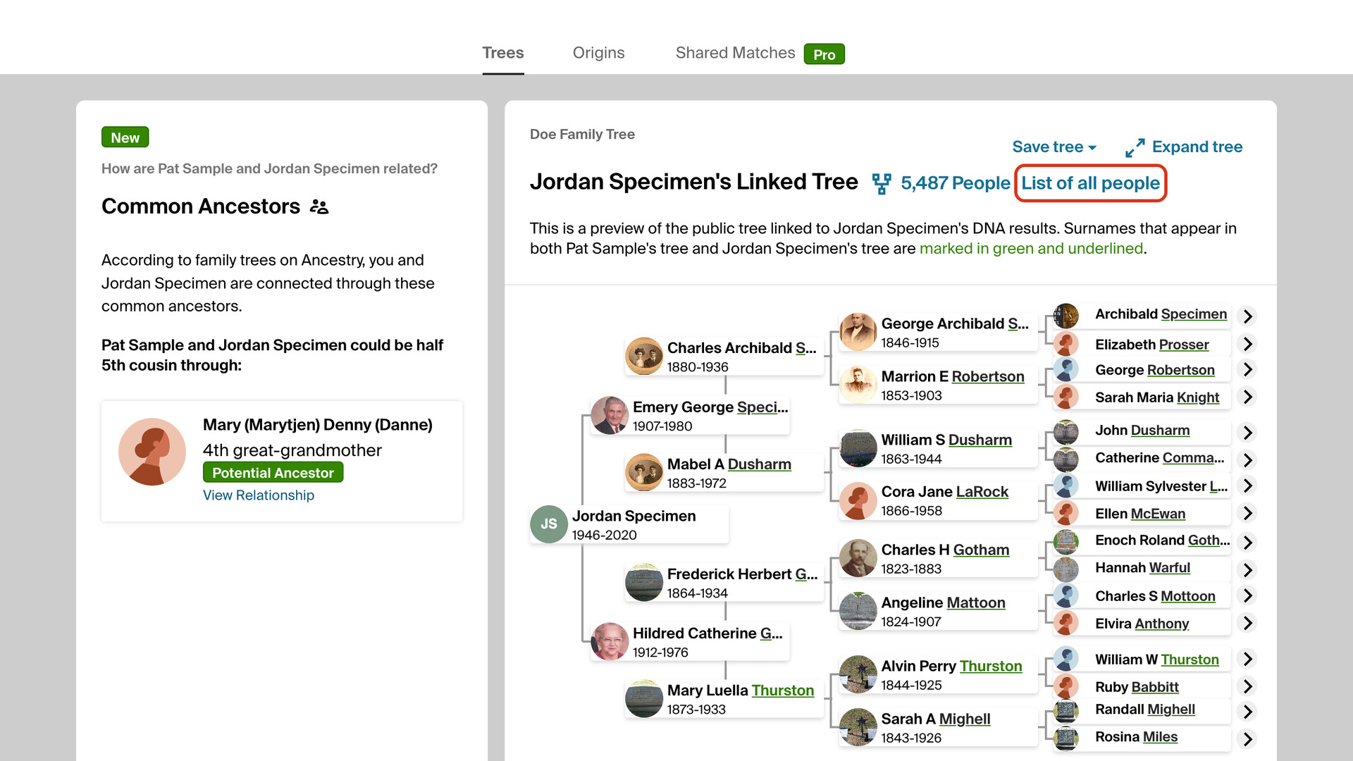 The Trees tab of an AncestryDNA match, with the List of all people link after the 5,487 People count of the match's linked tree outlined in red, above a five-generation preview of the tree.