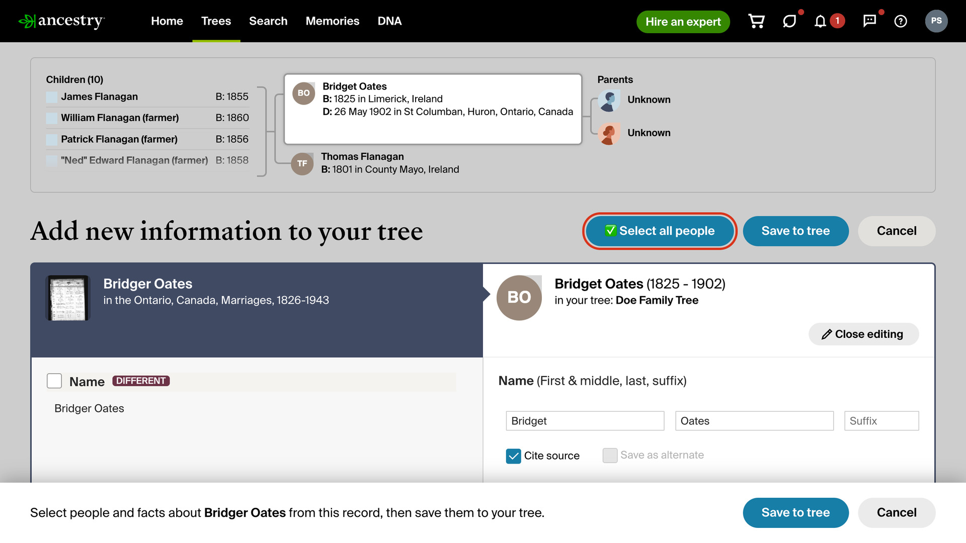 Ancestry's Add new information to your tree page for Bridget Oates from an Ontario marriage record, with the Select all people button beside Save to tree outlined in red.