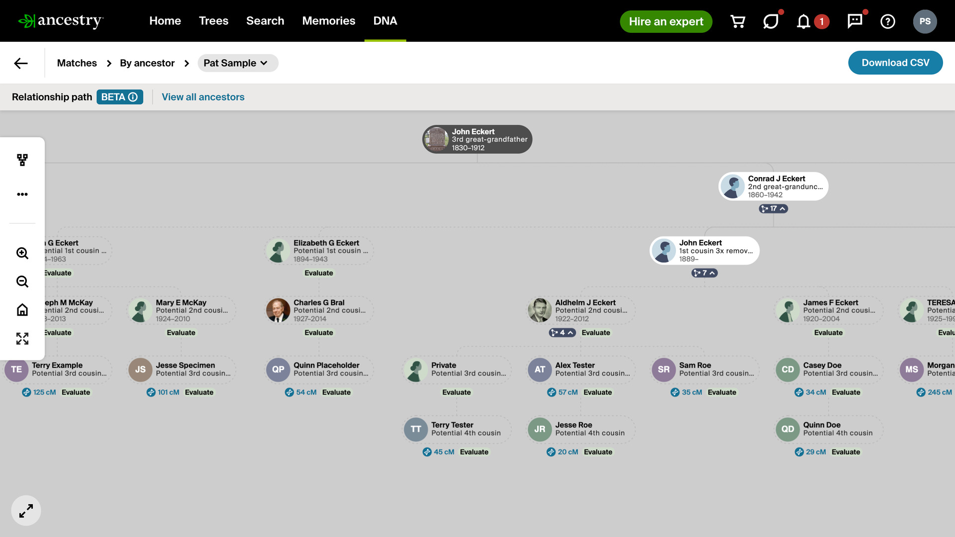 An Ancestry ThruLines tree for John Eckert with every group of matches already open, from the ancestor at the top down to the matches.