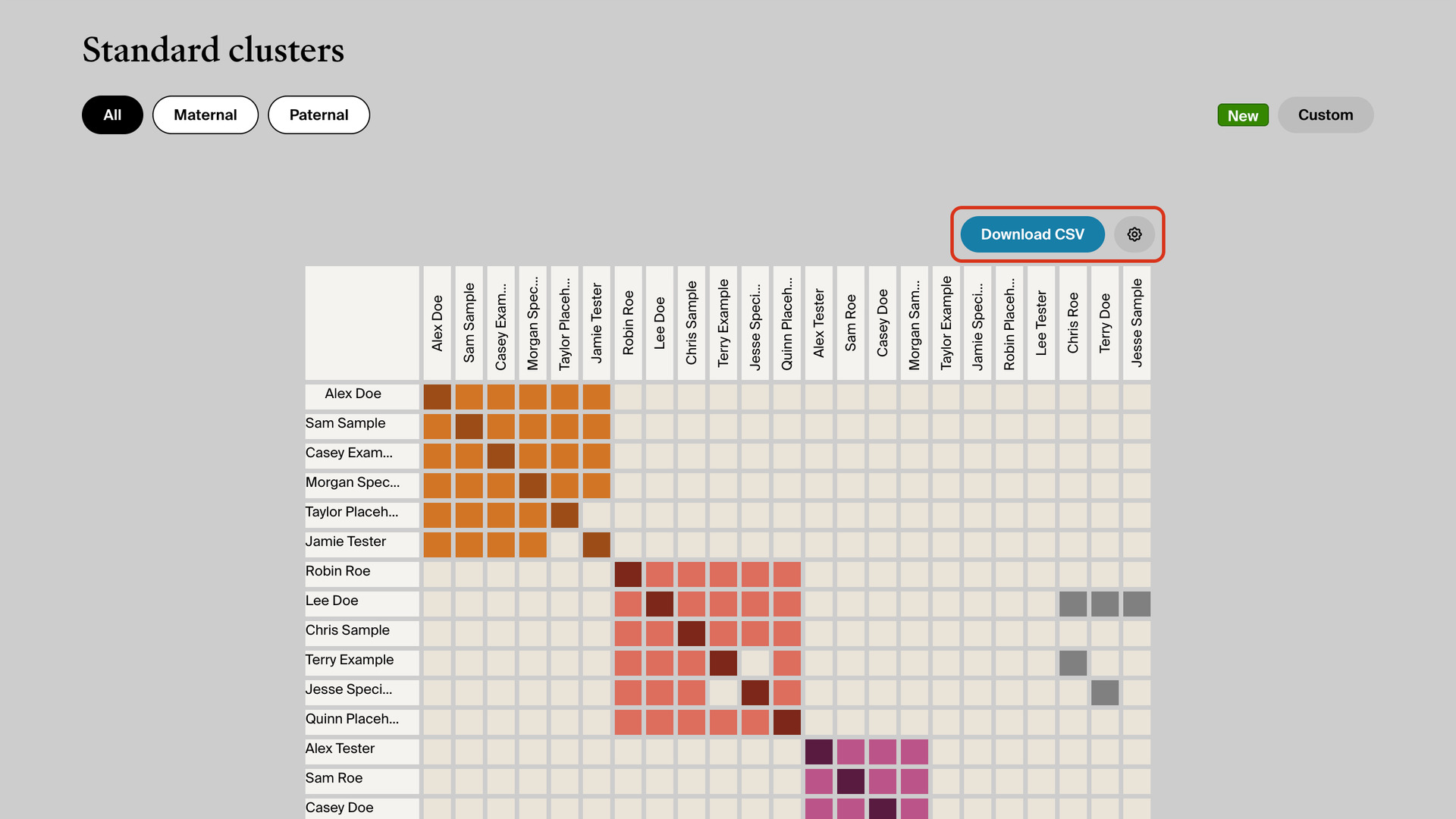 The AncestryDNA clusters report with its coloured grid, and the Download CSV button and the gear beside it at the top right of the grid outlined in red.