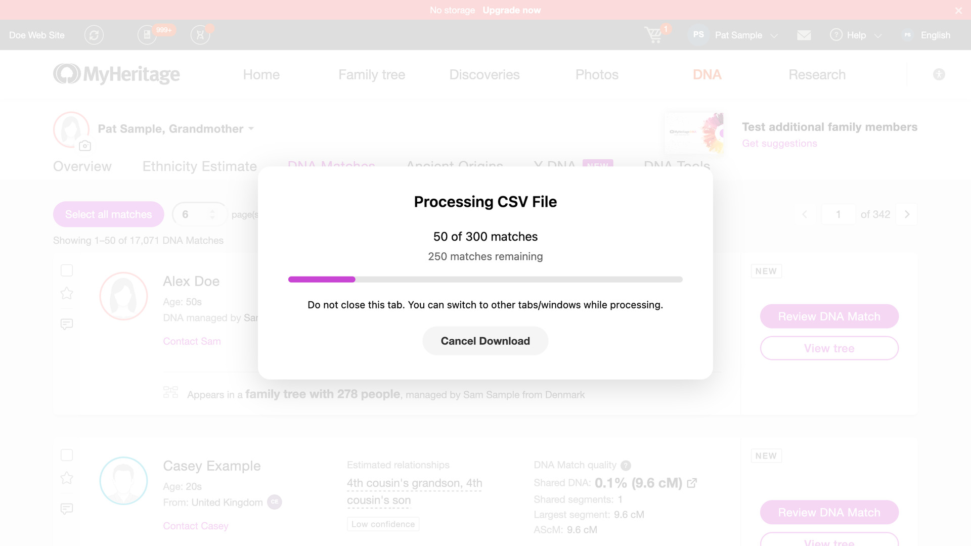 The Processing CSV File window over the MyHeritage matches list, showing how many of 300 matches are saved, a progress bar and a Cancel Download button.