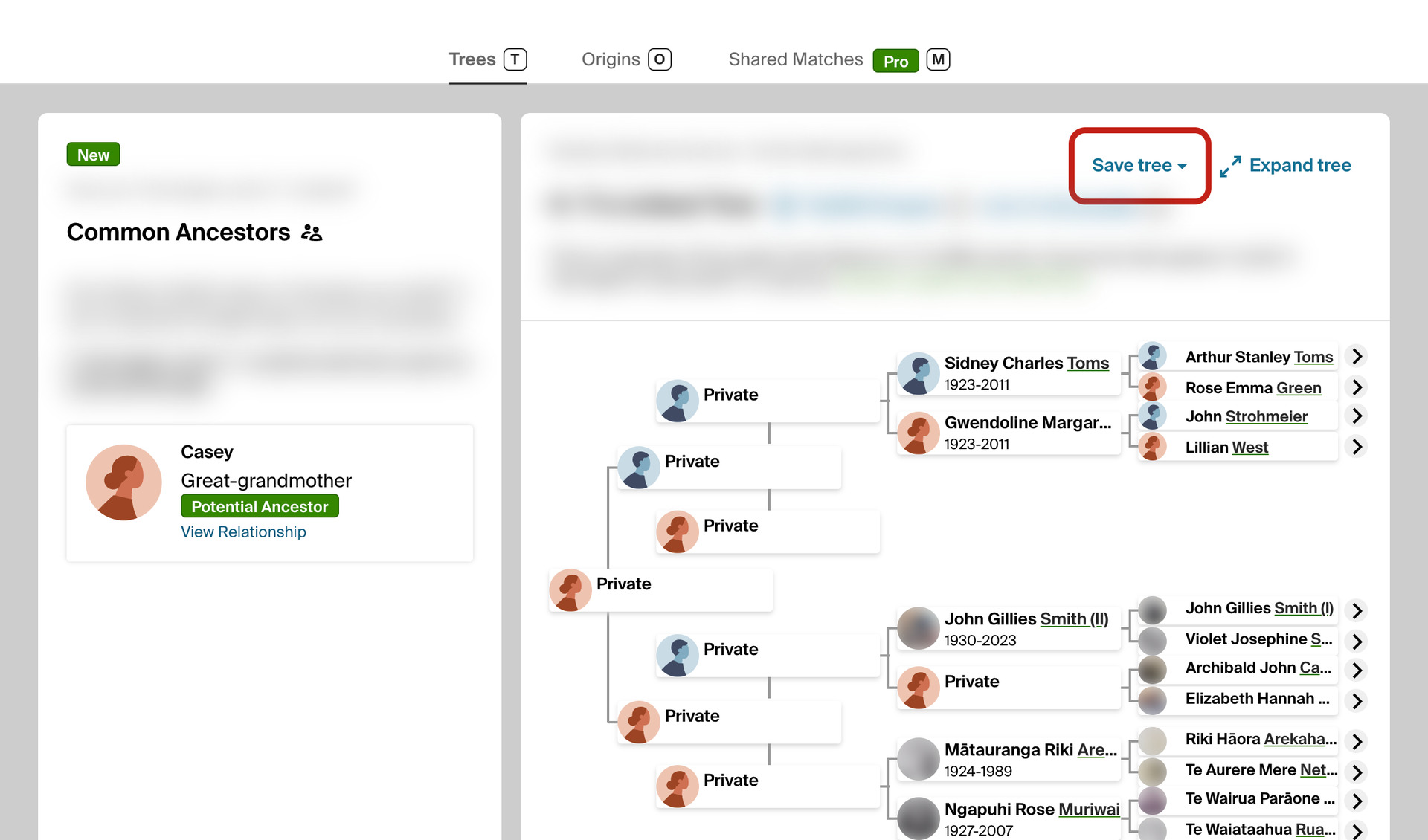 The Trees tab of a DNA match on AncestryDNA, with the Save tree button outlined in red beside Expand tree.
