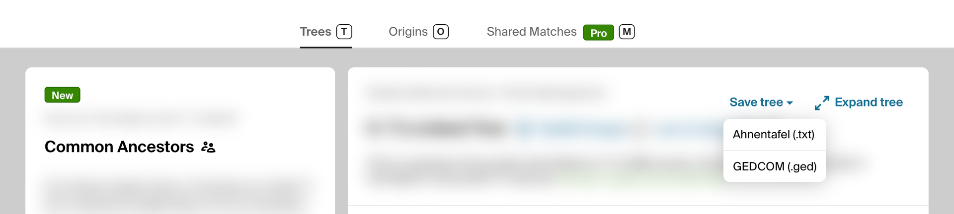 The Save tree menu open on a match's Trees tab, offering Ahnentafel (.txt) and GEDCOM (.ged).